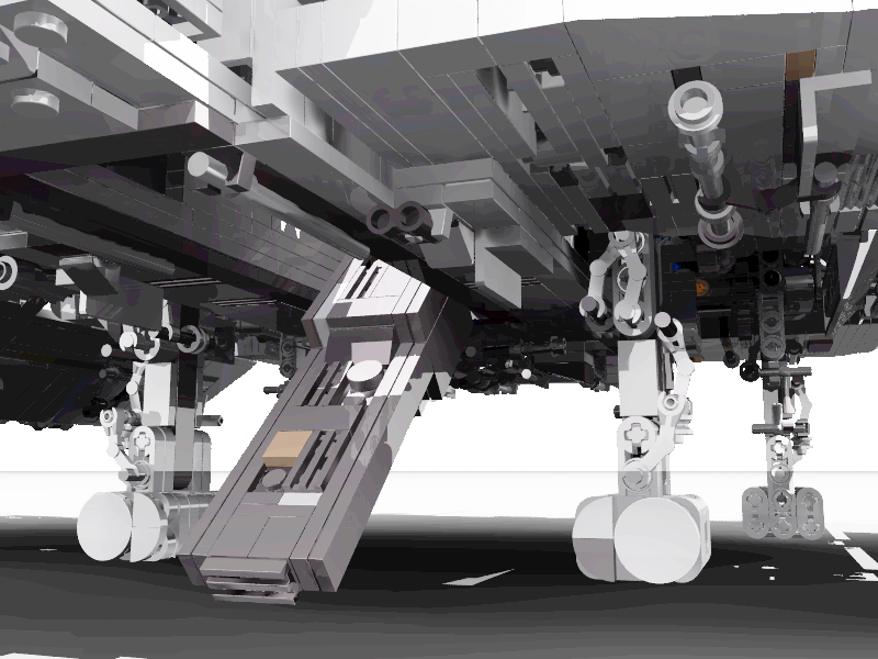 Dawn Accipiter Photo 6