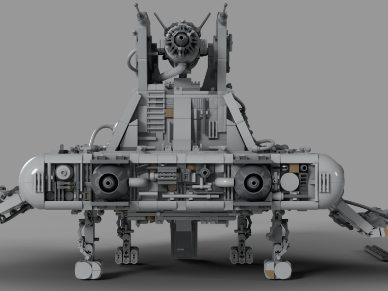 Dawn Accipiter Photo 7