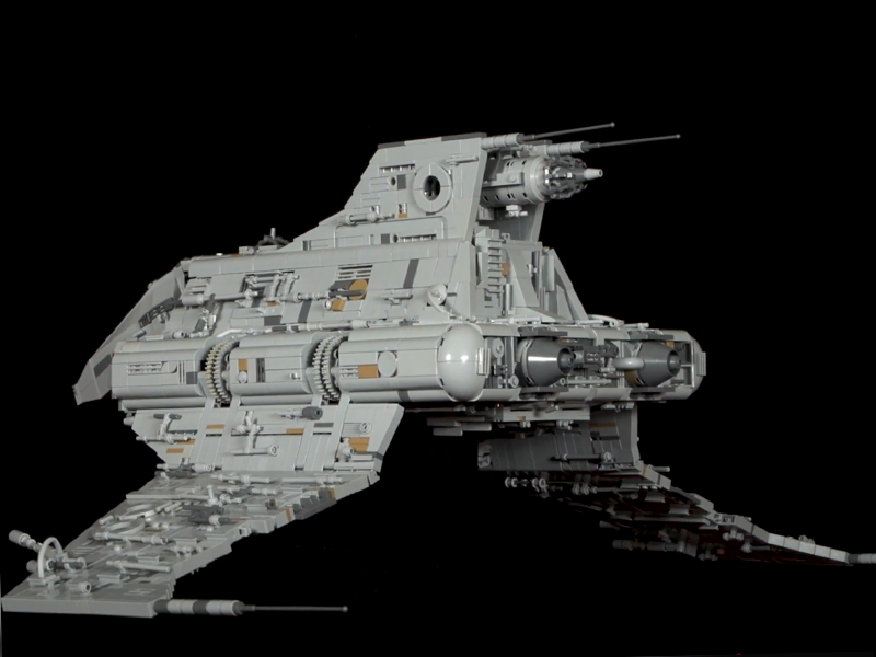 Dawn Accipiter Photo 1