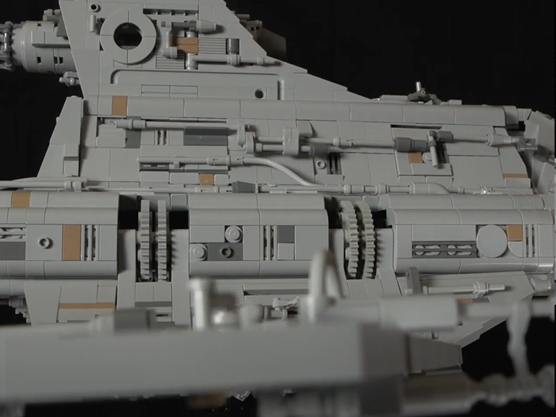 Dawn Accipiter Photo 2