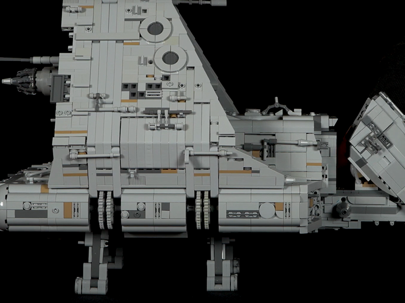 Dawn Accipiter Photo 3