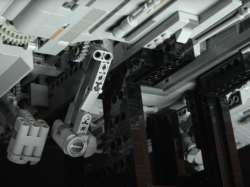 Dawn Accipiter Photo 4