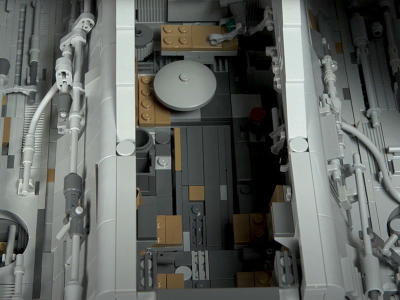 Dawn Accipiter Photo 5