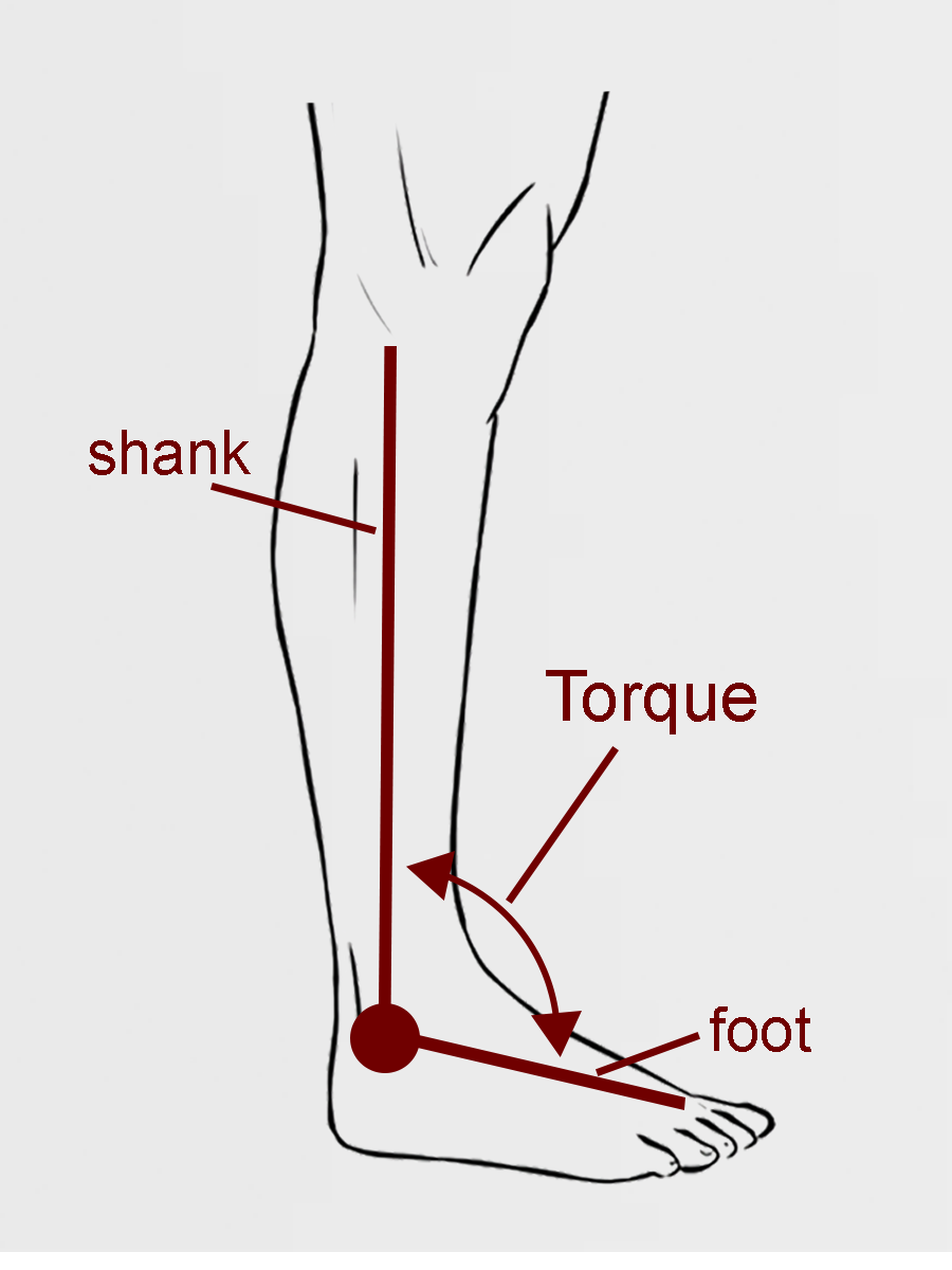 Ankle exoskeleton leg attachment